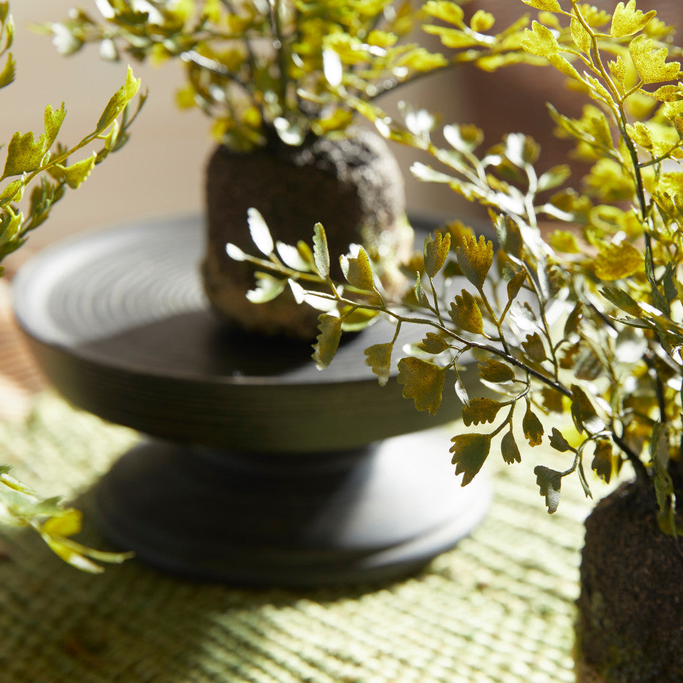 Maidenhair Drop-Ins, Set of 3