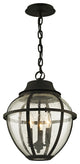 Troy Lighting Bunker Hill Three Light Hanging Lantern F6457