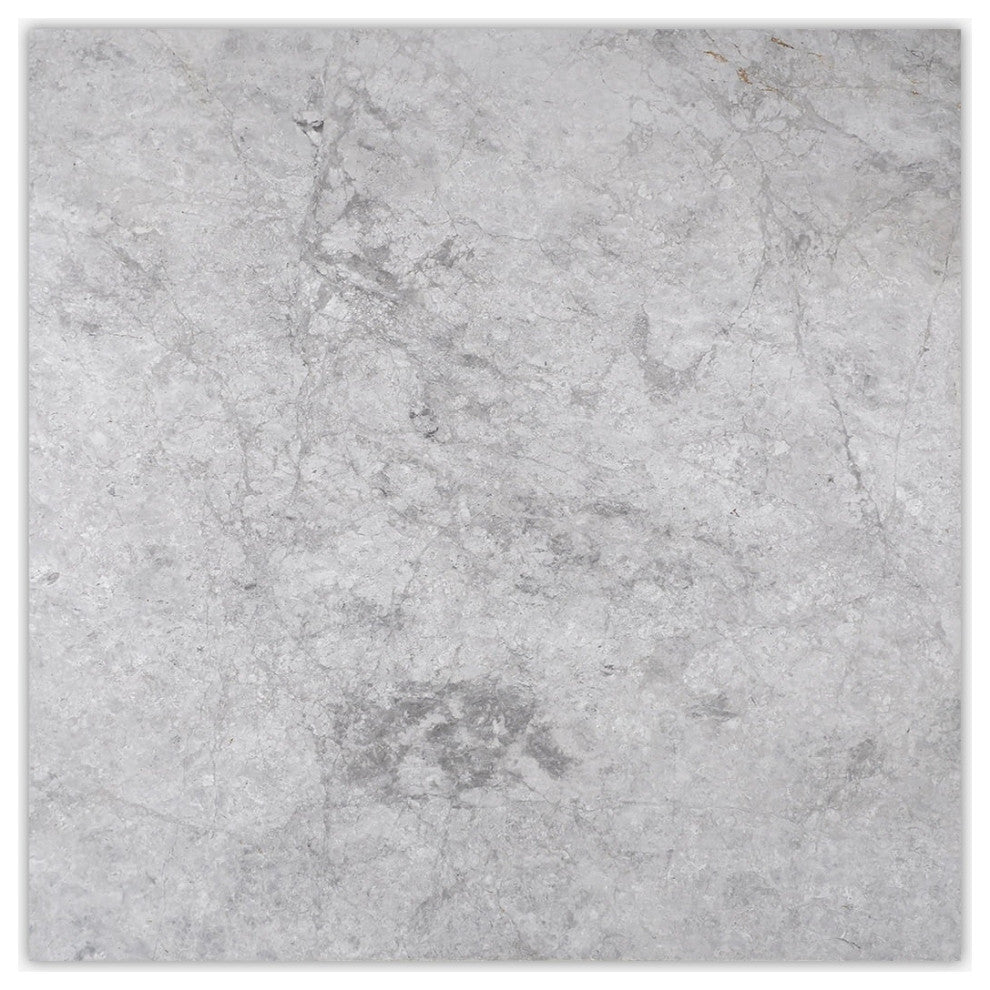 Silver Gray Light Honed 24x24 Marble Tile