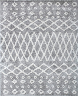 Noori Rug Shag Roy Silver/Ivory Rug