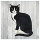 "Country Kitty I on Wood" Digital Paper Print by David Carter Brown, 42"x42"