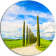 White Road Through Cypress Trees, Landscape Round Metal Wall Art, 23"