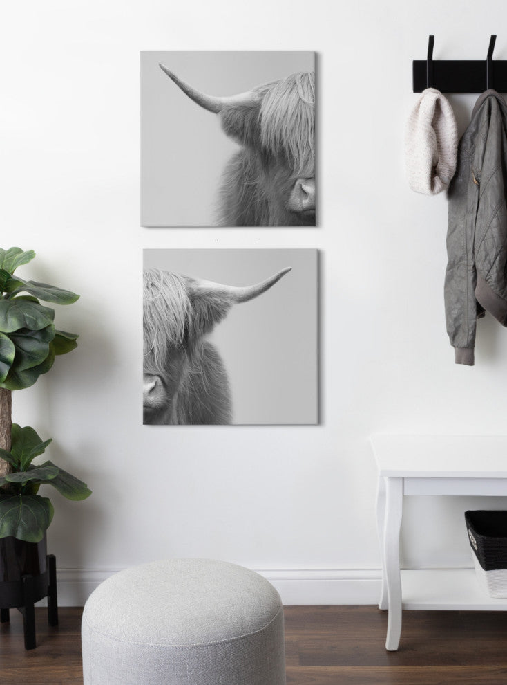 Hey Dude Cow Gray Canvas by The Creative Bunch Studio, Assorted 2 Piece 20x20