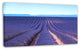 Endless Rows of Lavender Flowers, Floral Canvas Art print, 32"x16"