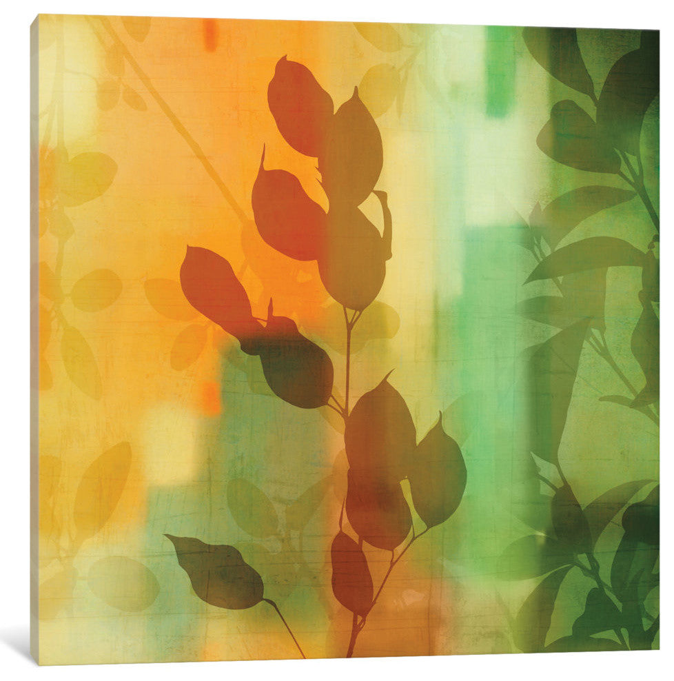 "Nature's Glow II" by Chris Donovan, Canvas Print, 37"x37"