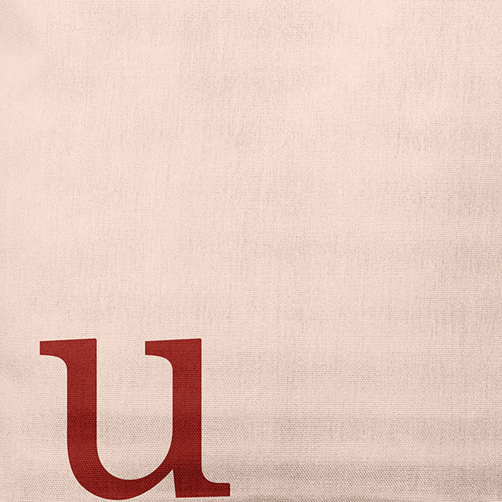 20"x20" Modern Monogram Decorative Throw Pillow, Maple Red