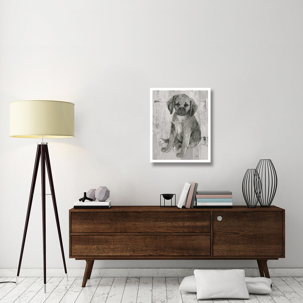 "Paco in Grey Tones" Digital Paper Print by Albena Hristova, 24"x30"