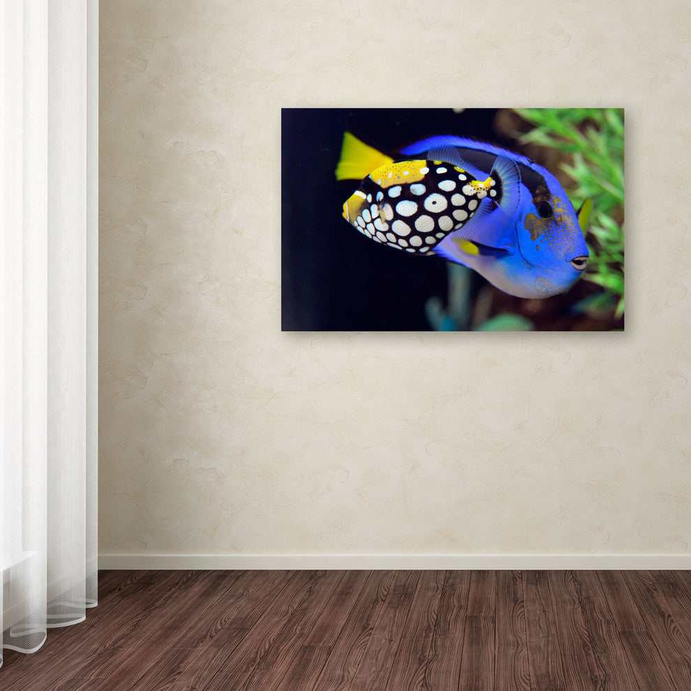 'Colorful Tropical Fish' Canvas Art by Kurt Shaffer