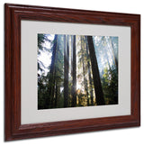 'Sunrays' Matted Framed Canvas Art by Pierre Leclerc