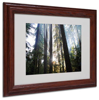 'Sunrays' Matted Framed Canvas Art by Pierre Leclerc