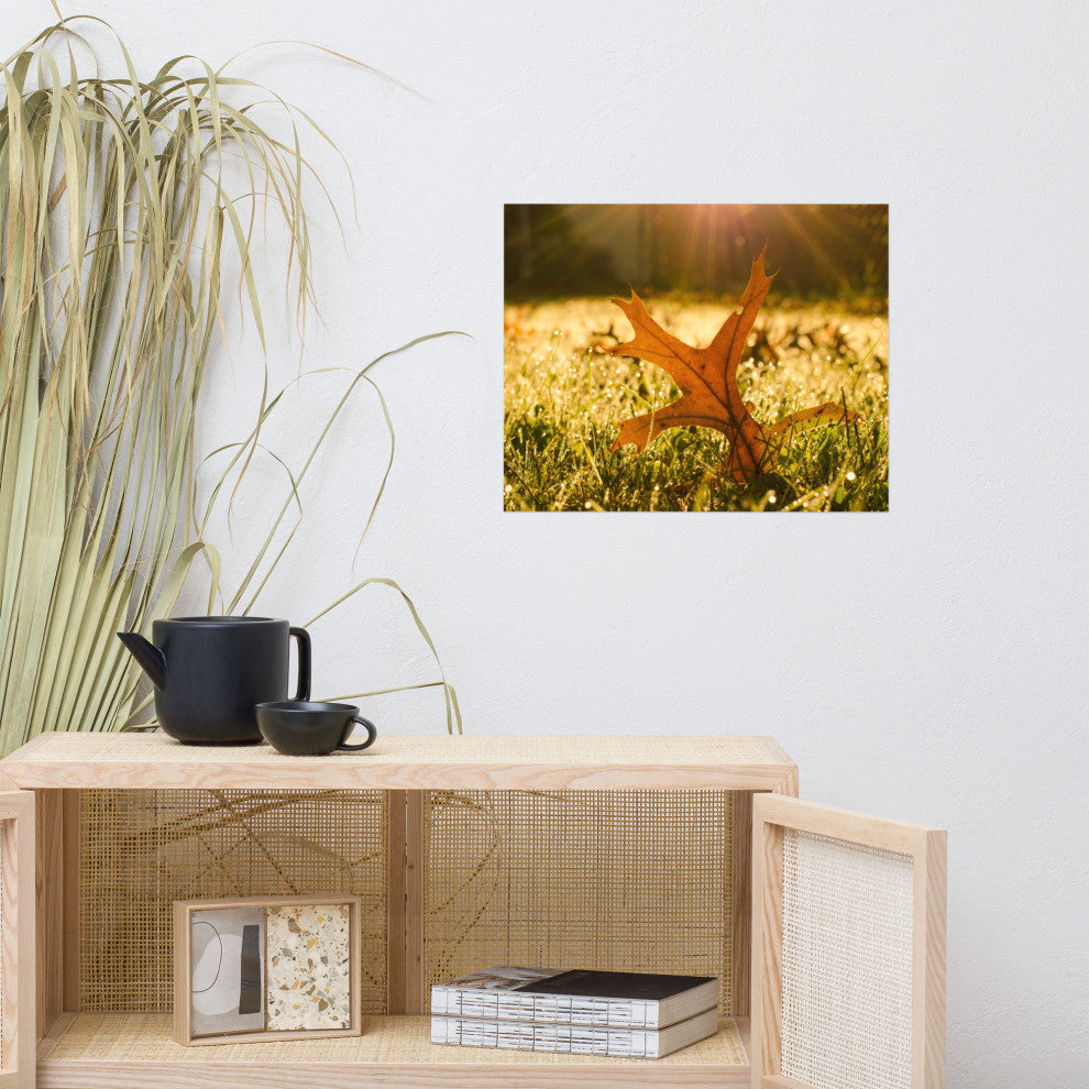 Fall Leaf in Morning Sun - Autumn Nature Photograph Unframed Wall Art Print, 16" X 20"