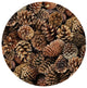 Andreas Pinecones Trivet, 10" Round