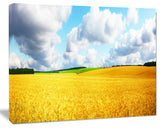 Beautiful Field Panorama, Landscape Canvas Art Print, 60x40
