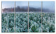 "Frozen Hemp Field in Autumn Morning" Landscape Wall Art, 4 Panels, 48"x28"