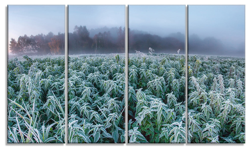 "Frozen Hemp Field in Autumn Morning" Landscape Wall Art, 4 Panels, 48"x28"