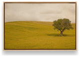 "Tuscan Fields' Charm" - A Touch of Italian Rusticity for Elegant Interiors