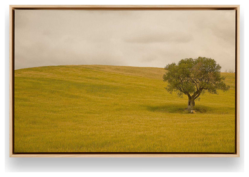 "Tuscan Fields' Charm" - A Touch of Italian Rusticity for Elegant Interiors