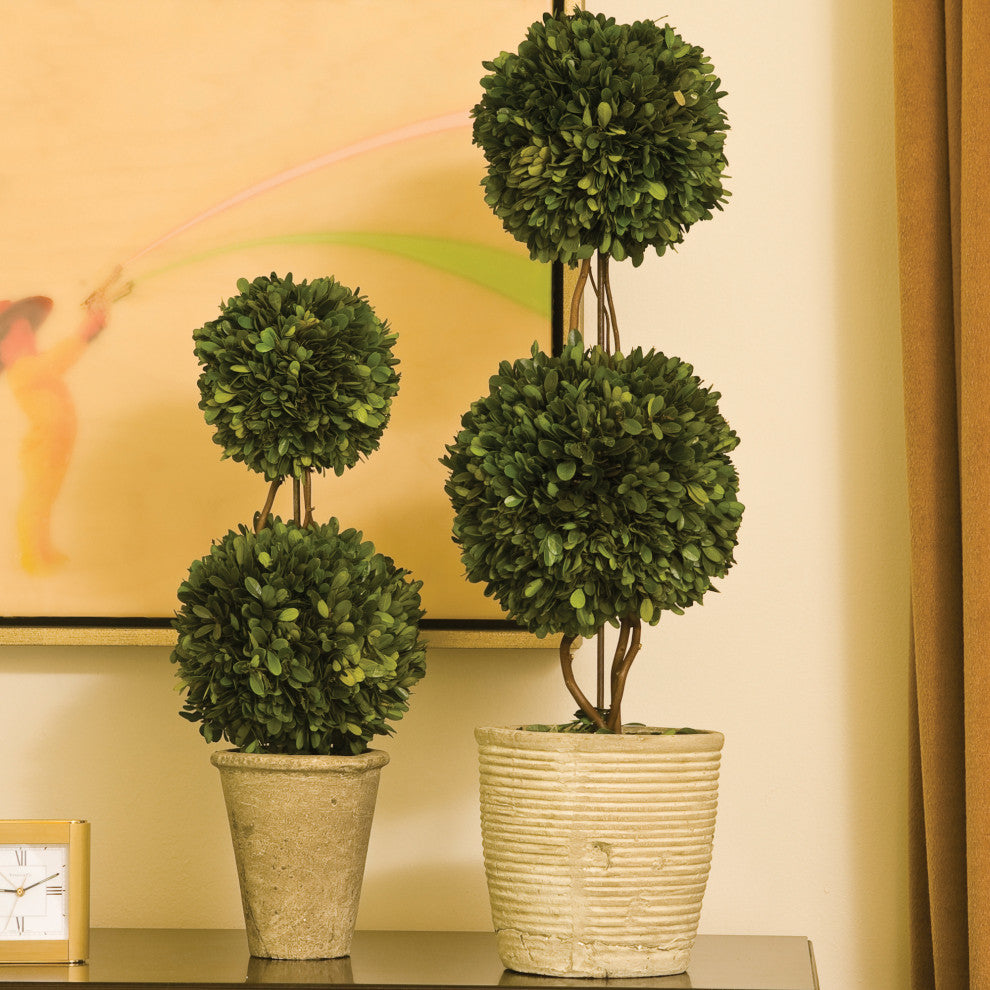 Boxwood Double Sphere Topiary, 20"