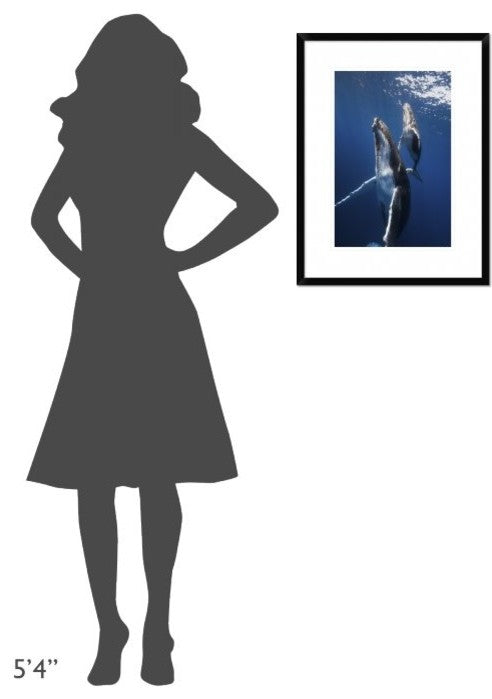 "Back To The Surface" Framed Digital Print by Barathieu Gabriel, 20"x26"