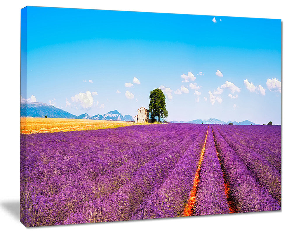 "Remote House and Tree in Lavender Field" Landscape Wall Art, 20"x12"