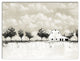 BW Barn Landscape 40x30 Canvas Wall Art