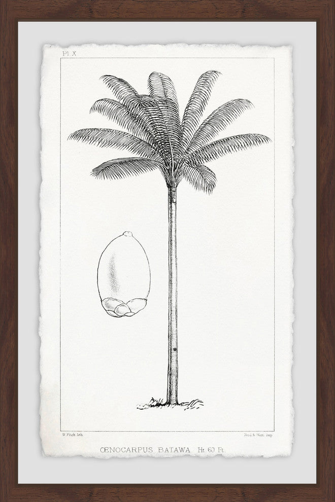 "Amazon Palm Tree" Framed Painting Print, 20"x30"