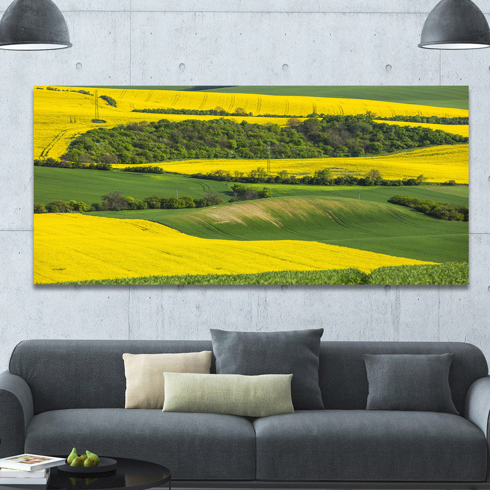 Rapeseed Fields and Green Wheat, Landscape Canvas Art Print, 60"x28"