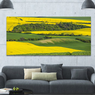 Rapeseed Fields and Green Wheat, Landscape Canvas Art Print, 60"x28"