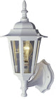1-Light White Exterior Wall Mount