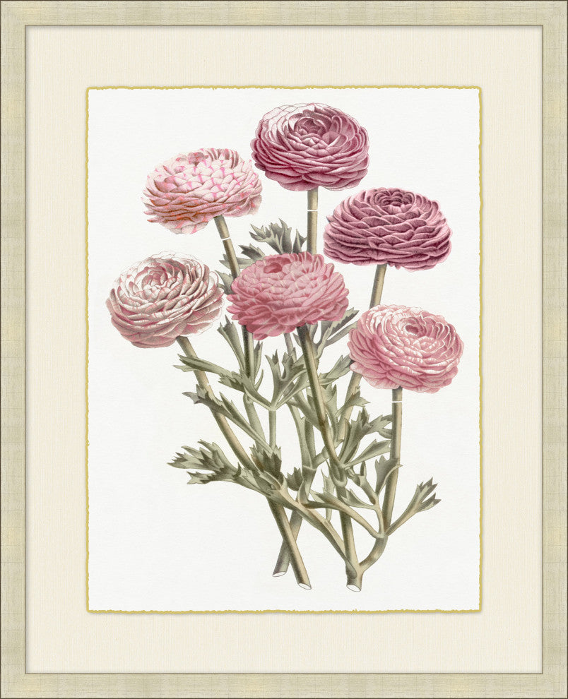 Blush Florals 3, Giclee Reproduction Artwork