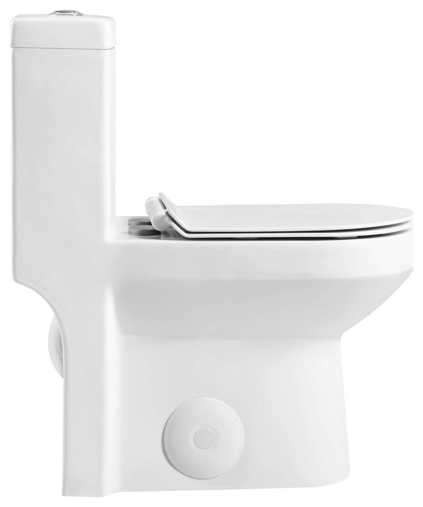 Fine Fixtures Dual-Flush Round One-Piece Toilet, Seat Included, 12" Rough in