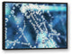 Dew Drops Over Blue 30x40 Black Floating Framed Canvas