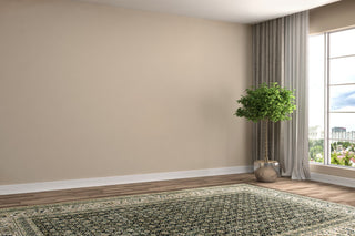 Brilliant Rug, 2'9"x11'6"