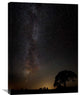 "Milkyway" Stretched Canvas Giclee by Kaspars Kurcens, 23"x30"