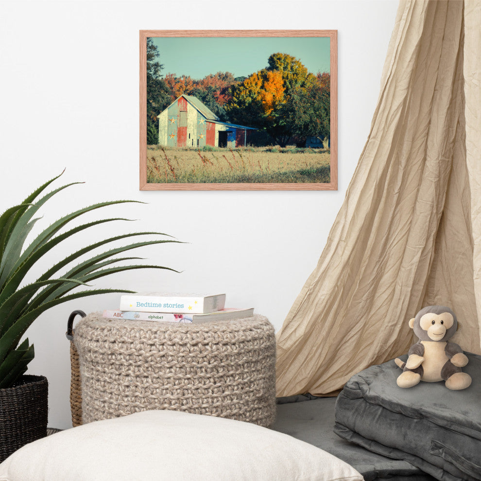 Patriotic Weathered Barn in Field Cross Processed Framed Photo Wall Art Prints, Red Oak, 16" X 20"