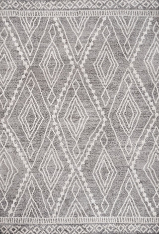 Rih Moroccan Style Diamond Gray/Ivory 8'x10' Area Rug