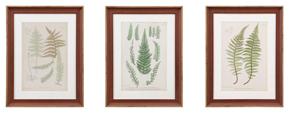 Madison Park Lady Fern Collection Single Mat Framed Graphic 3 Piece Set