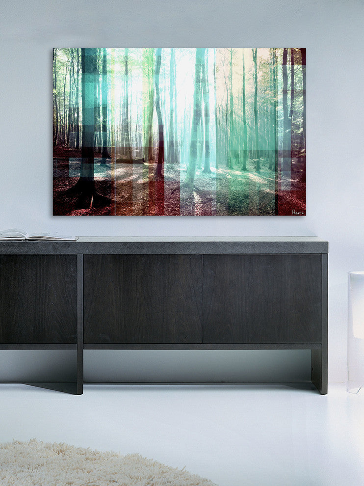 "Tree Rays" Fine Art Canvas Print, 24"x16"