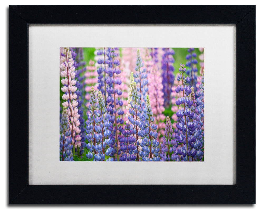 Cora Niele ''Blue Pink Lupine Flowers'' Matted Framed Art