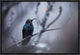 "Electrical Blue" Framed Canvas Giclee by Fabien Bravin, 19x13"