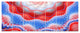 Red Blue Snake Skin Flower, Abstract Art on Canvas, 83"x32", 7 Panels