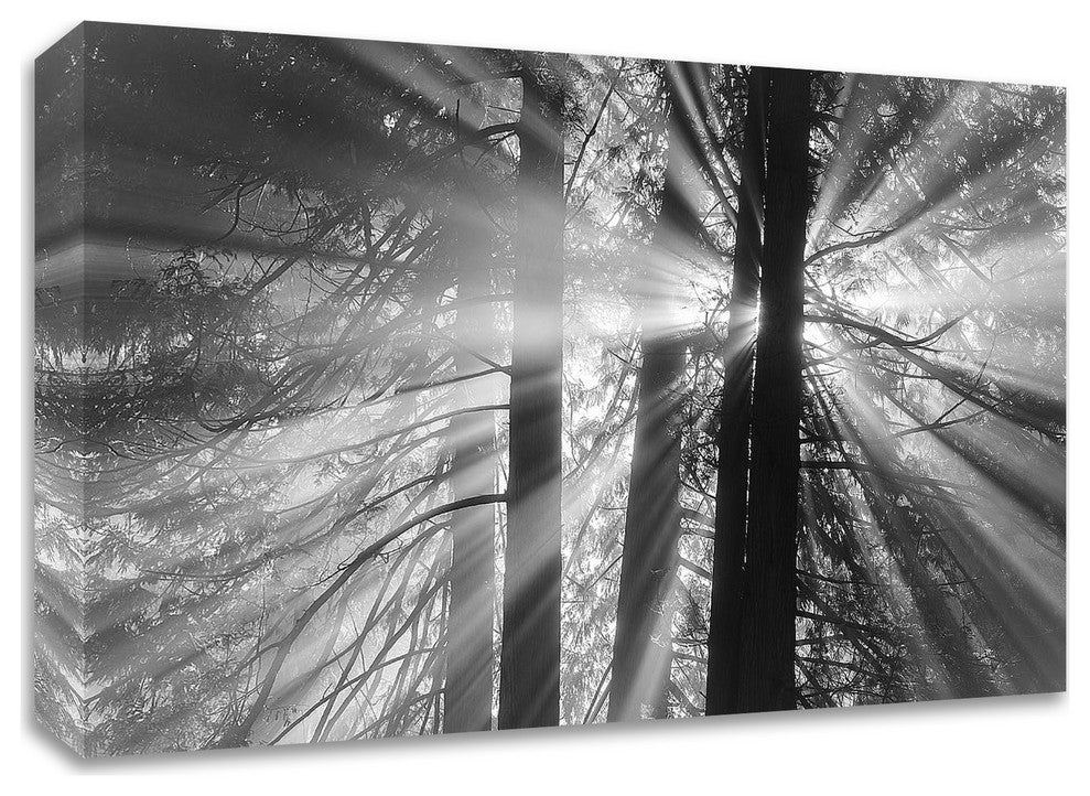Rays by Tim Oldford, Print on Canvas, 45"x30"