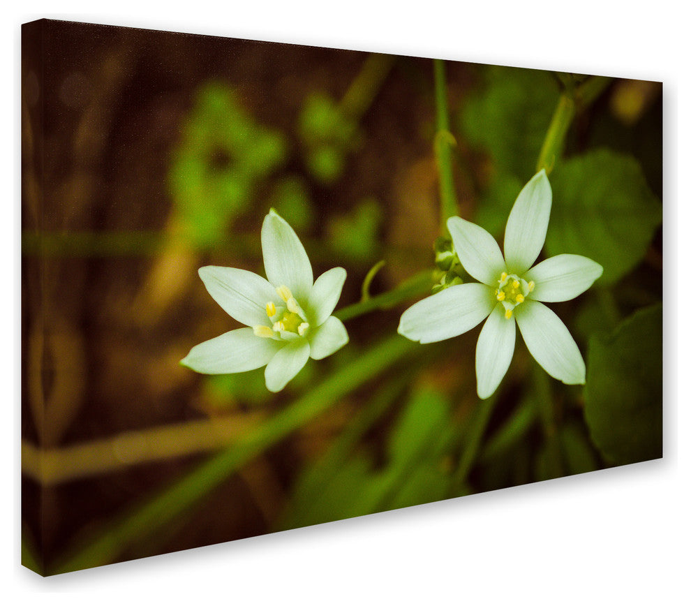 PIPA Fine Art 'Wild Beauty' Canvas Art, 19x12