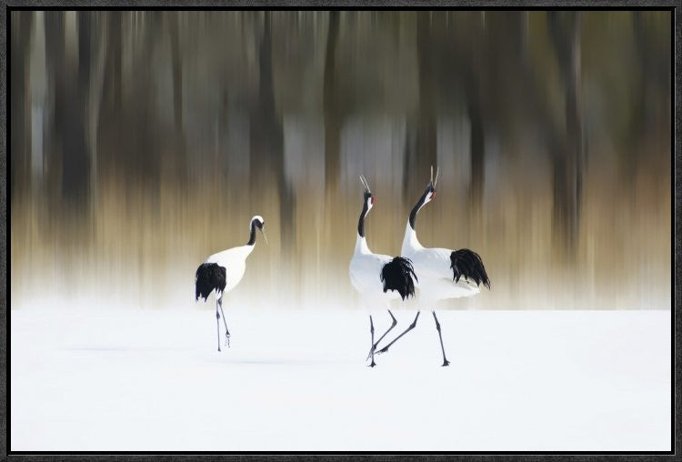 Sing A Song Of Love, 24"x16"