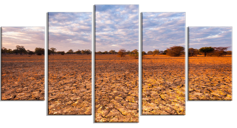 Amazing View of African Landscape, Landscape Canvas Art Print, 60"x32", 5 Panels