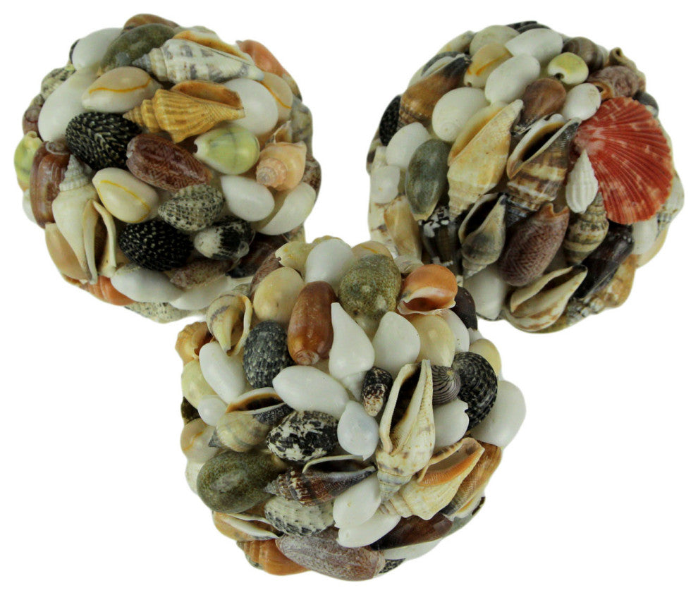 Assorted Seashell Decor Ball Figurine Set of 3