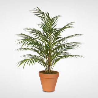 Full product shot on white background; front-facing; no text. Category: alternate_white_full.