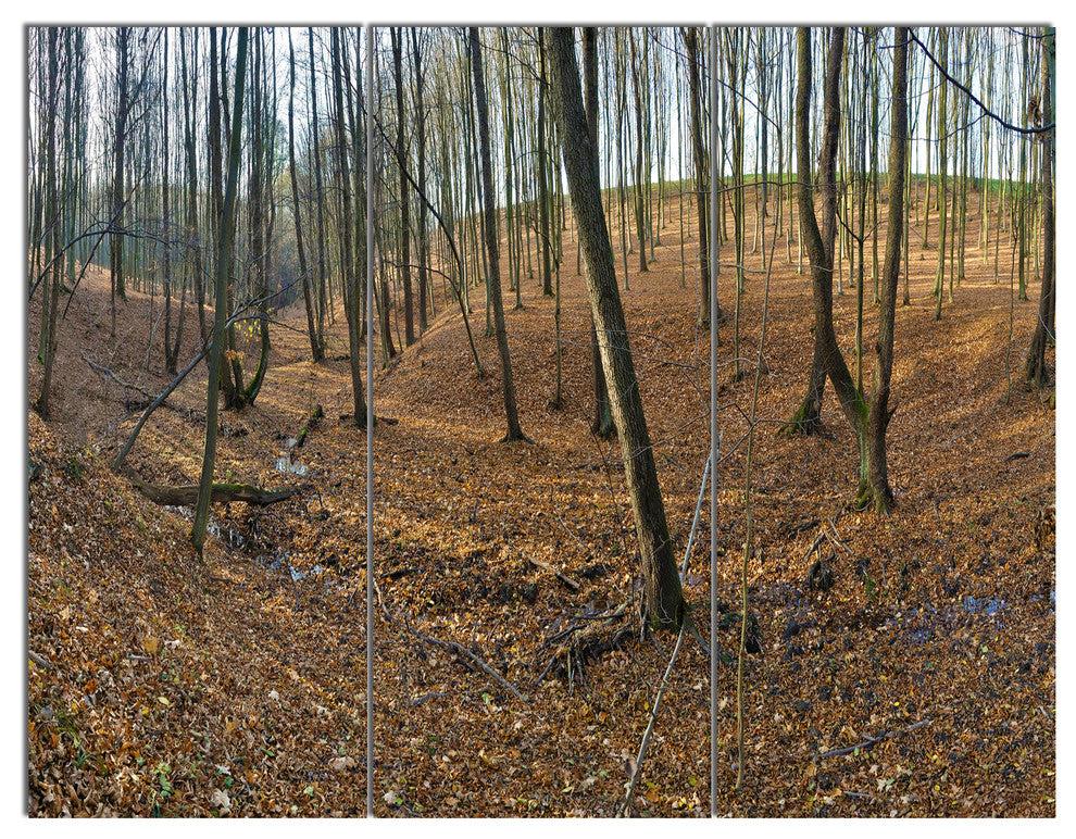 Woods in Fall Forest Panorama, Forest Triptych Canvas Art Print, 36x28, 3 Panels