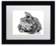 Jason Shaffer ''Two Toads'' Matted Framed Art, Black Frame, White Mat, 14x11