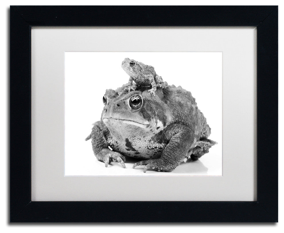 Jason Shaffer ''Two Toads'' Matted Framed Art, Black Frame, White Mat, 14x11